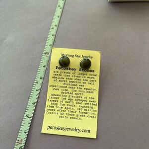 Silver petoskey stone earrings studs